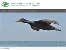 Tablet Screenshot of ecocatalyst.org